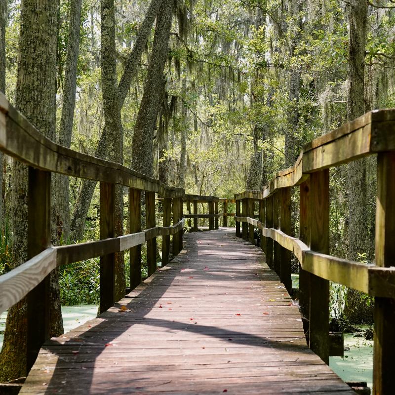 Boardwalk Boardwalk