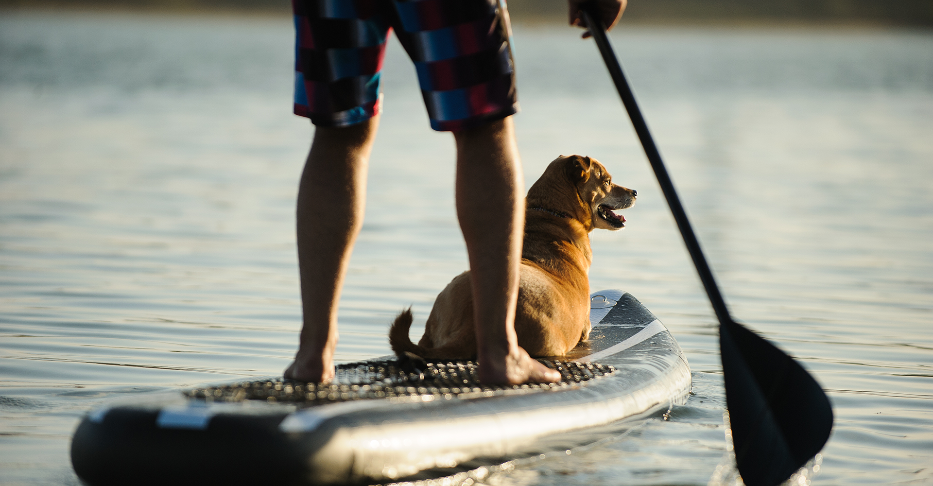 Evening Paddle Evening Paddle