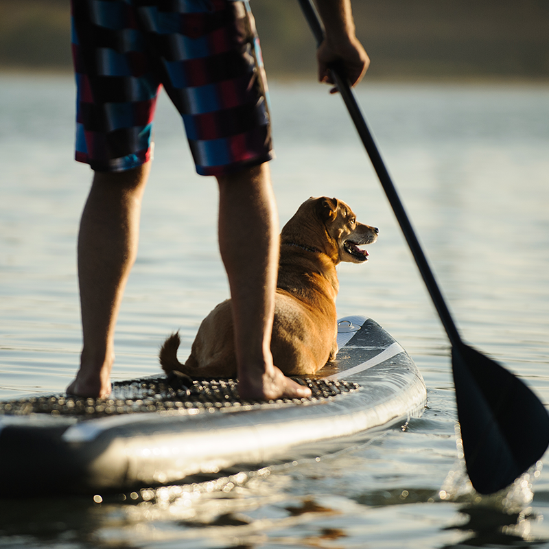 Paddle boarding Paddle boarding