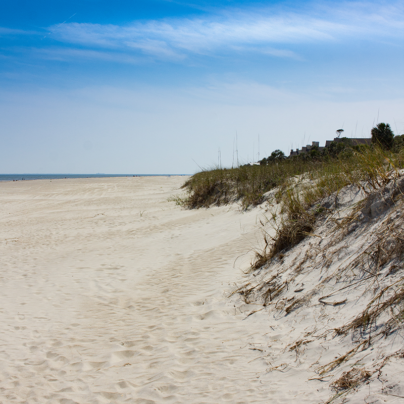 Beach life Beach life